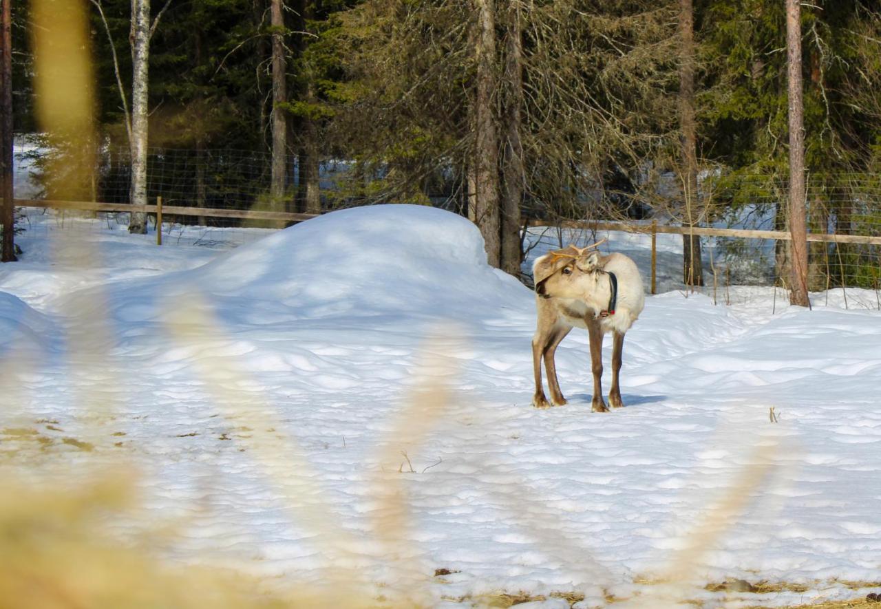 Ajakka Kuusamo Exteriör bild